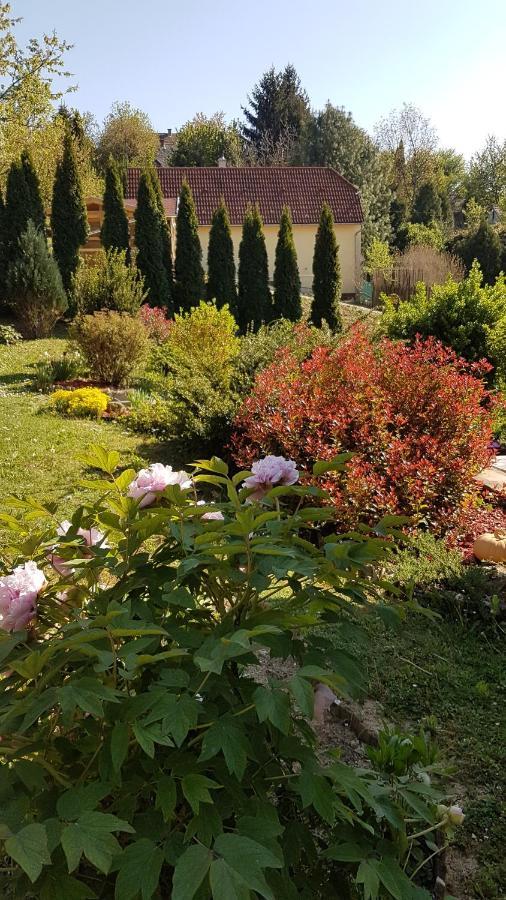 Levendulas Vendeghaz Zalaegerszeg Dış mekan fotoğraf